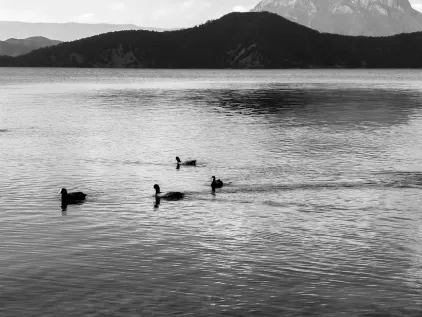 Casino Midas Application mobile